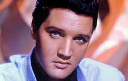 The Michigan Elvisfest